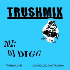 Trushmix 202 - DJ Digg