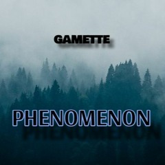 AmbientHouse///GAMETTE///Phenomenon