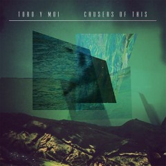 TORO Y MOI - THANKS VISION