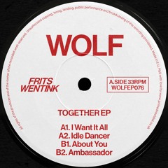 PREMIERE: Frits Wentink - I Want It All [Wolf Music]