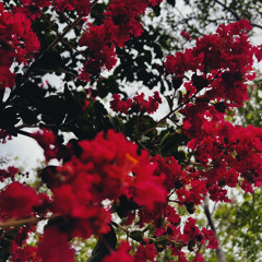 1997 ft. Domana (branwen)