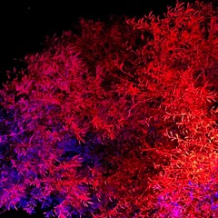 coloRadio 22.03.2025