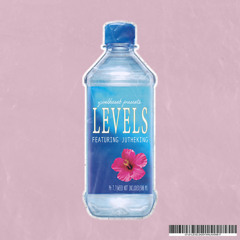 Levels ft. JuTheKing (Prod. Max Keeble)