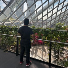 BASS NYUCUK SAMPE KE PARU PARU #VVIP #EXPRESS #ARIZZ