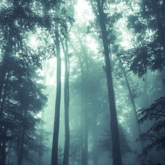 Magical Forrest (2018) Anthology CD2 Track 15