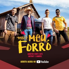 Esse é Meu Forró - Antony E Gabriel - Meu Forró (Remix 2021)