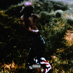 Bottega Veneta Heels