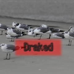 Draked (instrumental)