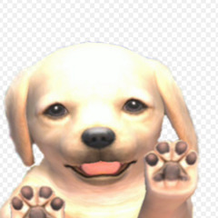puppy