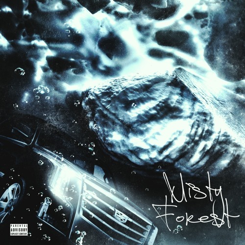 Misty Forest (prod. Relvpse)