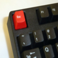 Fantasi! ft. sunsuu [meauxri]