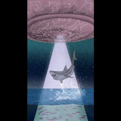 Shark