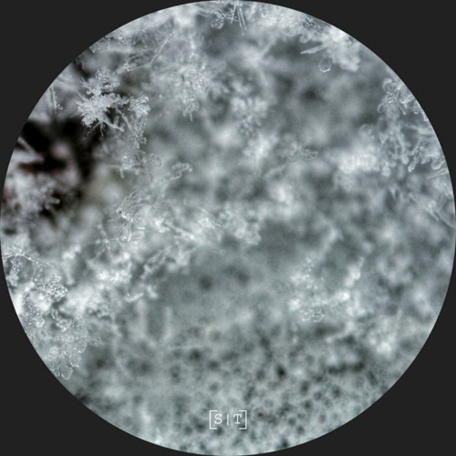 PREMIERE: RTNH - Repetitive Behaviors V [Secuencias Temporales]