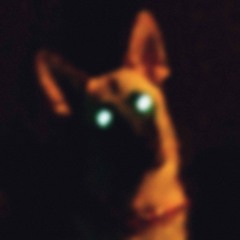 The Pines (EP Version)