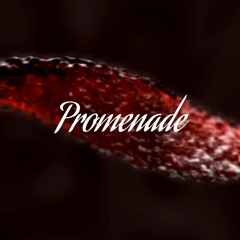 Peter White - Promenade (by Filip Galevski)