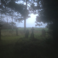 Fifty Grand - In The Summer I Won’t + Ginseng