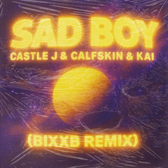 Castle J & Calfskin & Kai - Sad Boy (BIXXB Remix)