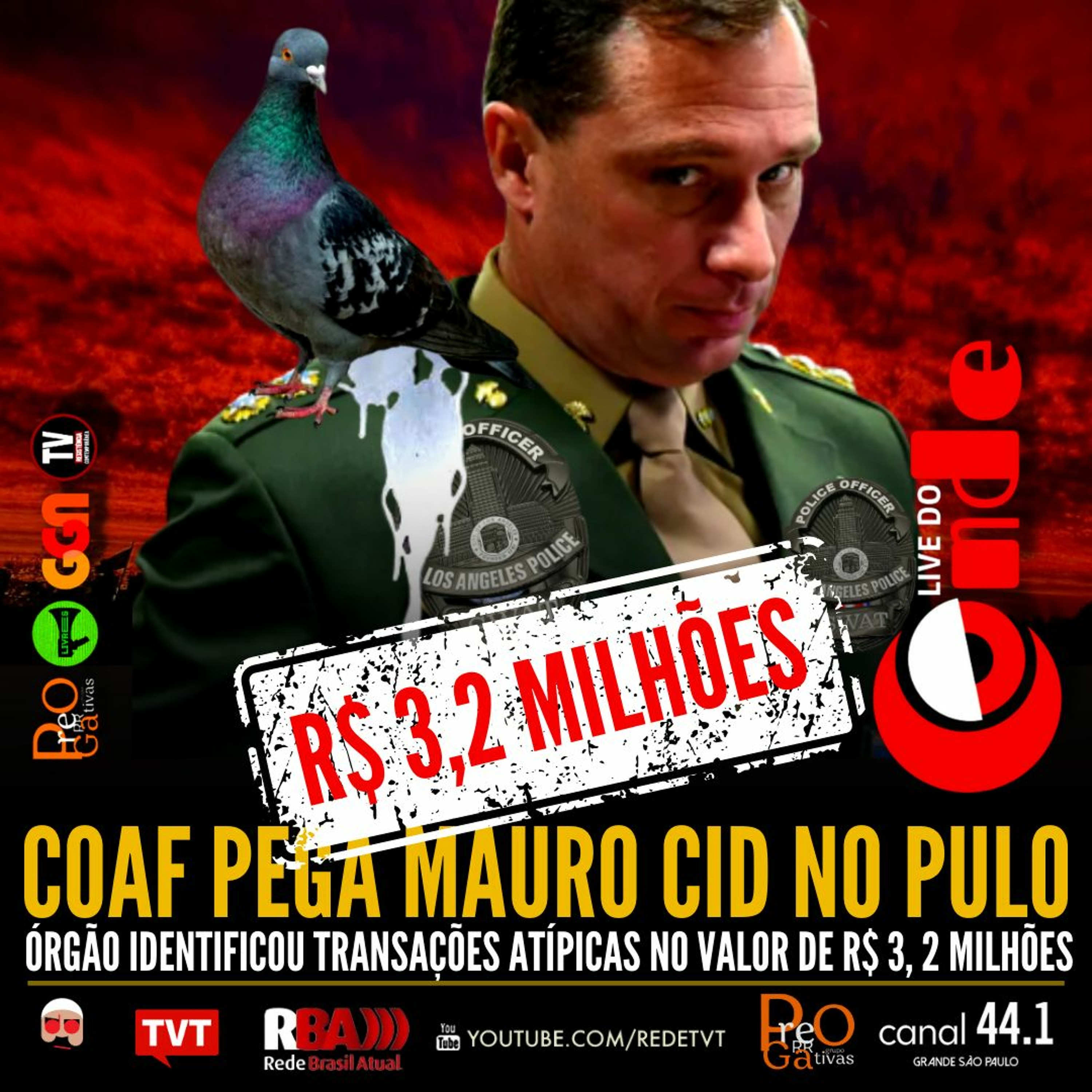 TV 247