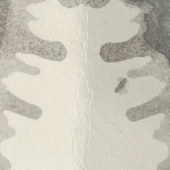 Variable Depth Audit on FBi Radio Saturdays 10PM-12AM