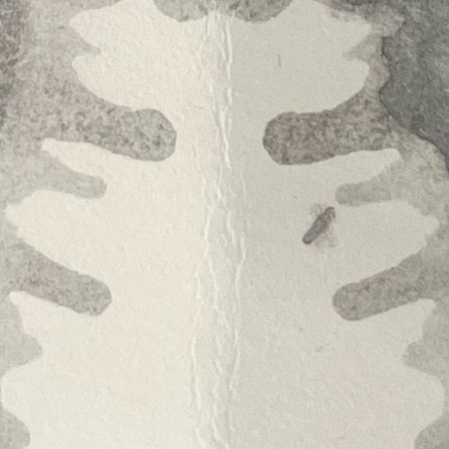 Variable Depth Audit on FBi Radio Saturdays 10PM-12AM