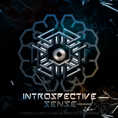 INTROSPECTIVE SENSE - NEW LIVE SET (2025)