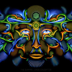 Szilánkos / Noche astillada