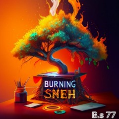 Burningsneh - Crazy World