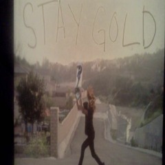 PDF 🔥READ🔥 ONLINE Stay Gold – The Emerica Video: Deluxe Edition Book with DVD