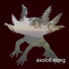 axolotl slpng