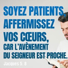 Dimanche 30.11.2025 • Le Réveil dans l'épître de Jacques • DIVERSES ÉPREUVES • (11) La PATIENCE