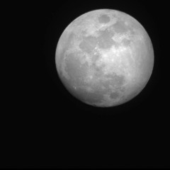 Pale Moonlight