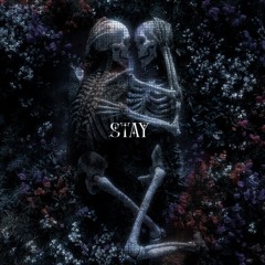 stay