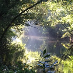 Ocean (Demo) by Stuart Wills