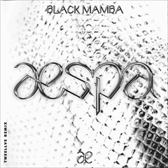 aespa 에스파 'Black Mamba' (Tweellve Remix)