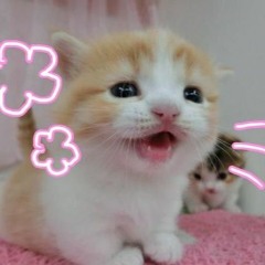 yerin baek - bye bye my blue (sped up)☁️