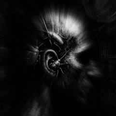 ZUBA - COCKROACHES IN MY HEAD