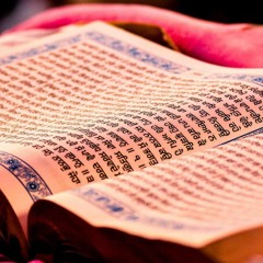 Sri Guru Granth Sahib Ji Katha 28 - Giani Thakur Singh Ji