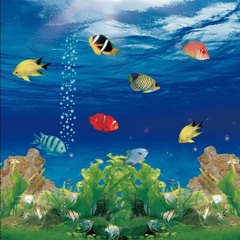 aquasplash (ft. ninf444)