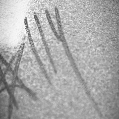 Make it [prod. joyful x frozy]