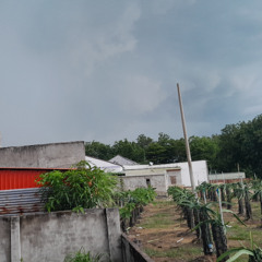 Ta Cu Stormy Rain