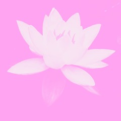 Having Giving Talking