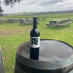 Sipping Through the Hunter Exclusive Wine Tours with Transportransport