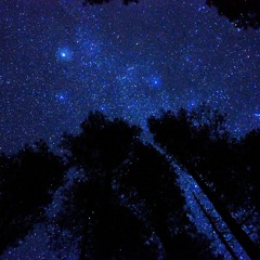 New Moon Chant_opus2