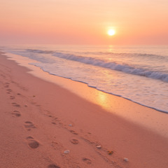 Beachfront Lamenter