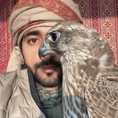 صغت المعاني