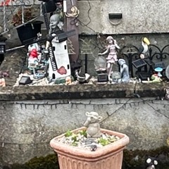 Learning from the rain