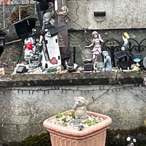 Learning from the rain