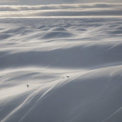 Chasing the Spindrift