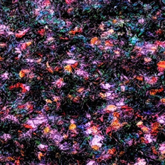 Mosaic Of Infinite Weirdness