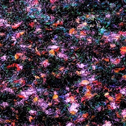 Mosaic Of Infinite Weirdness